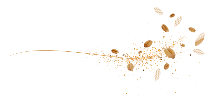 L'excellence de la boulangerie à la française L'excellence de la boulangerie à la française
